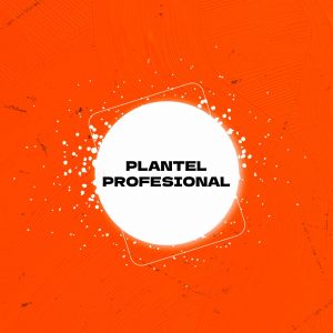 Plantel Profesional